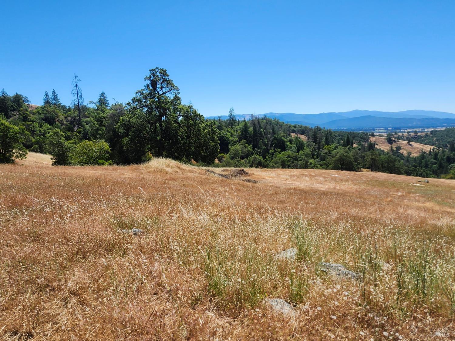 22551 Rifle Range Road Covelo CA 95428