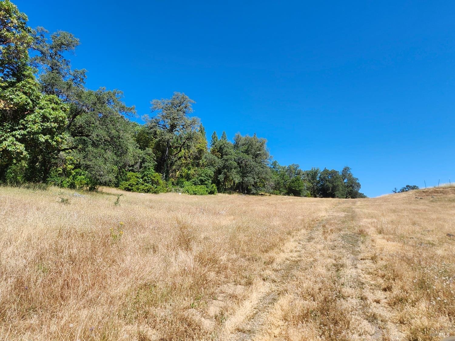 22551 Rifle Range Road Covelo CA 95428