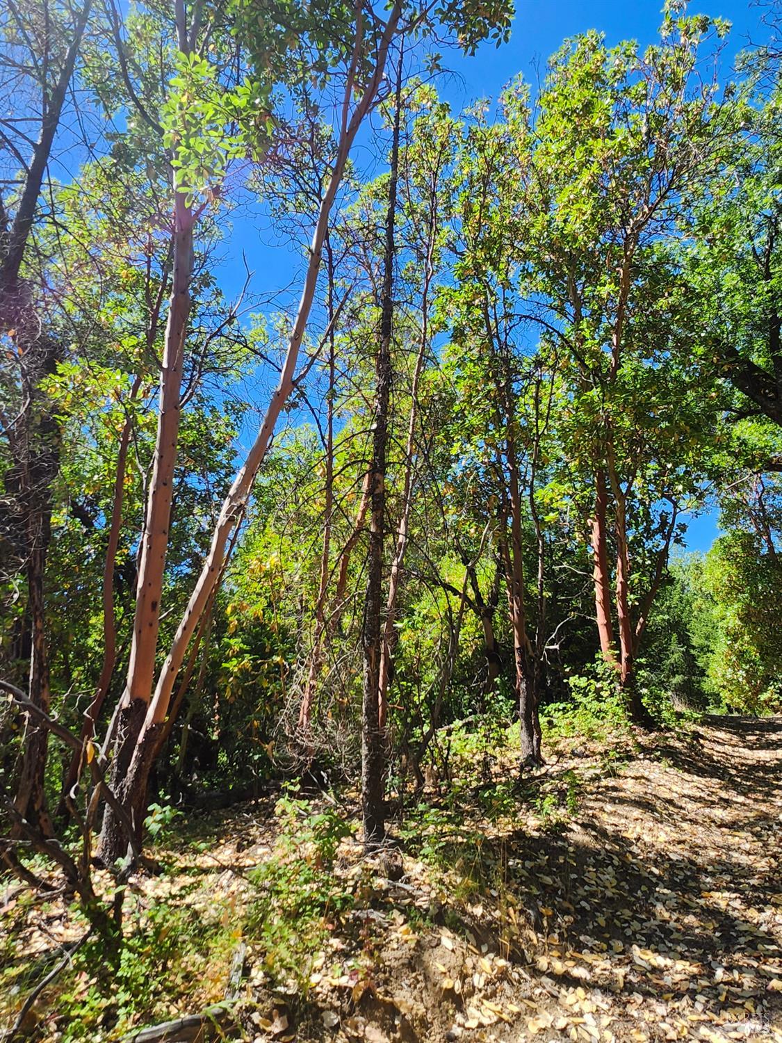 22551 Rifle Range Road Covelo CA 95428