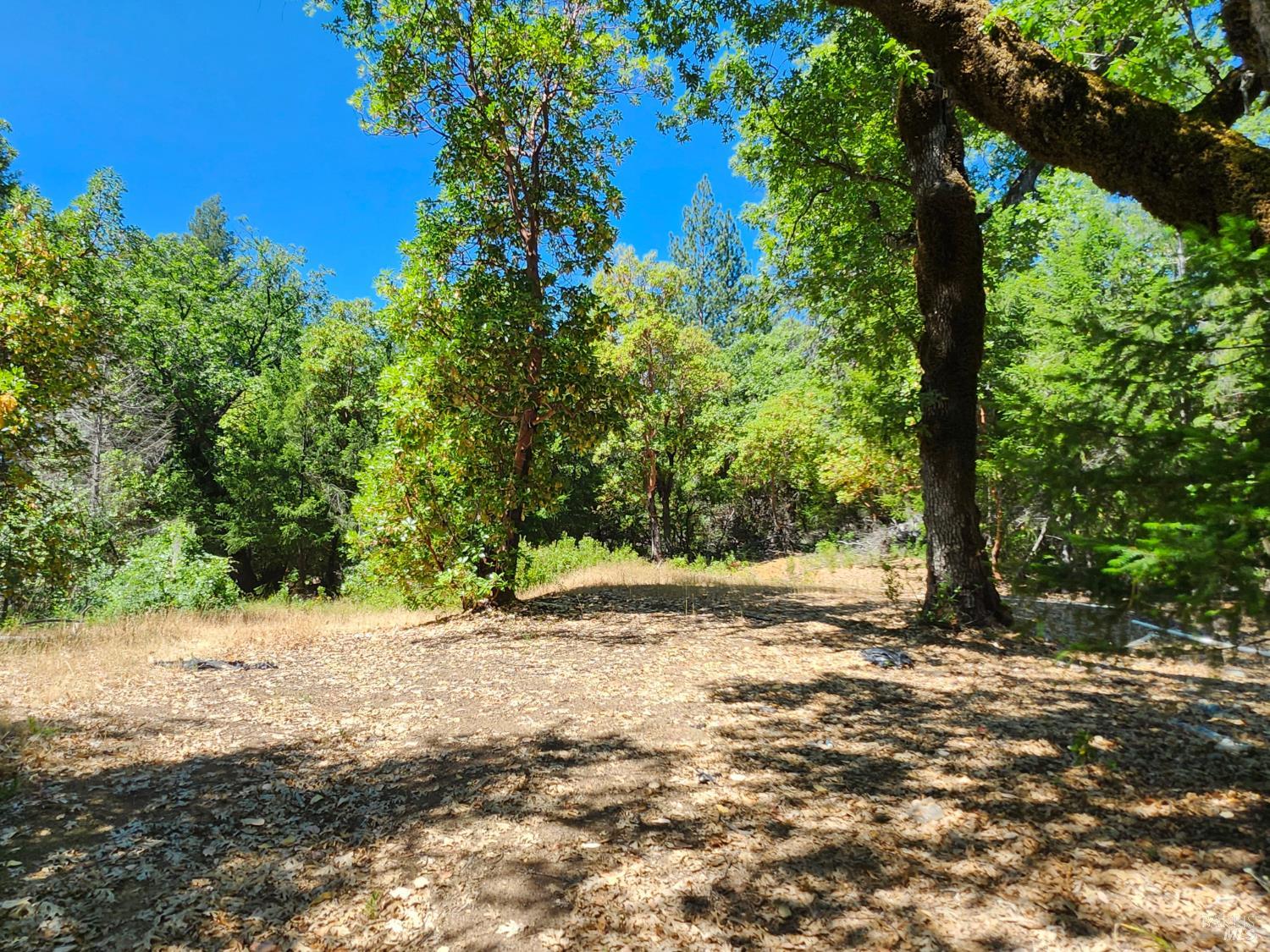 22551 Rifle Range Road Covelo CA 95428