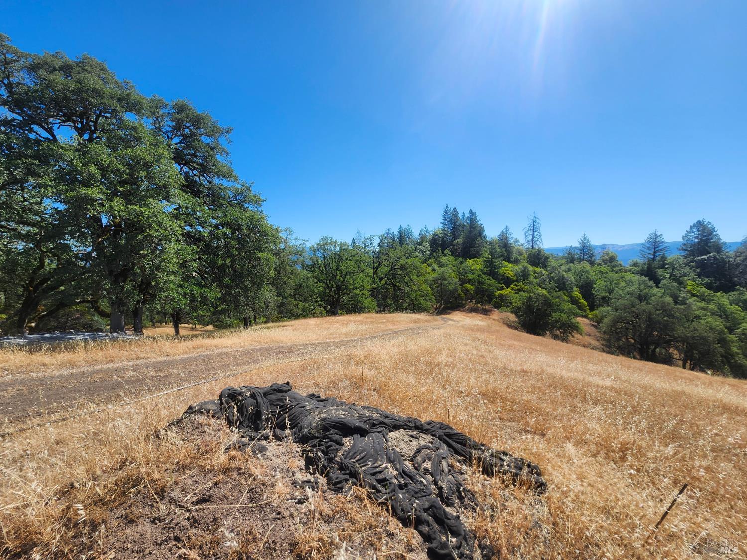 22551 Rifle Range Road Covelo CA 95428