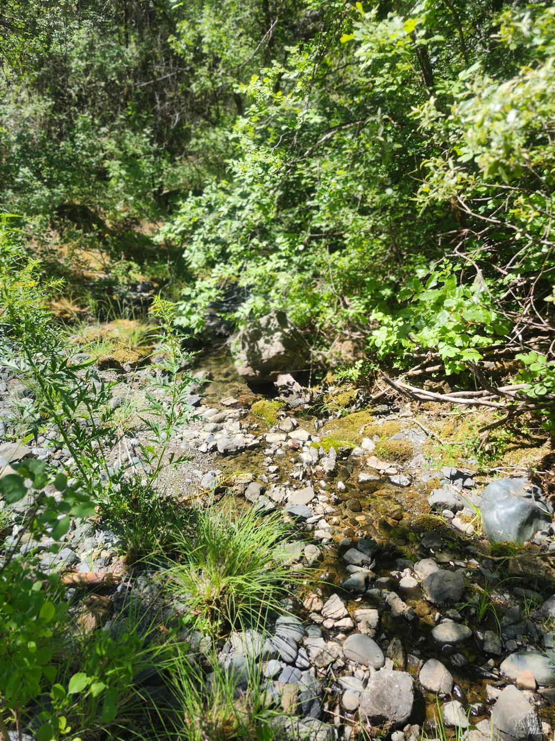 22551 Rifle Range Road Covelo CA 95428