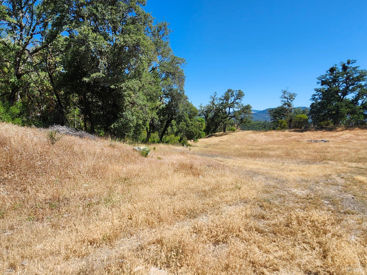 22551 Rifle Range Road Covelo CA 95428