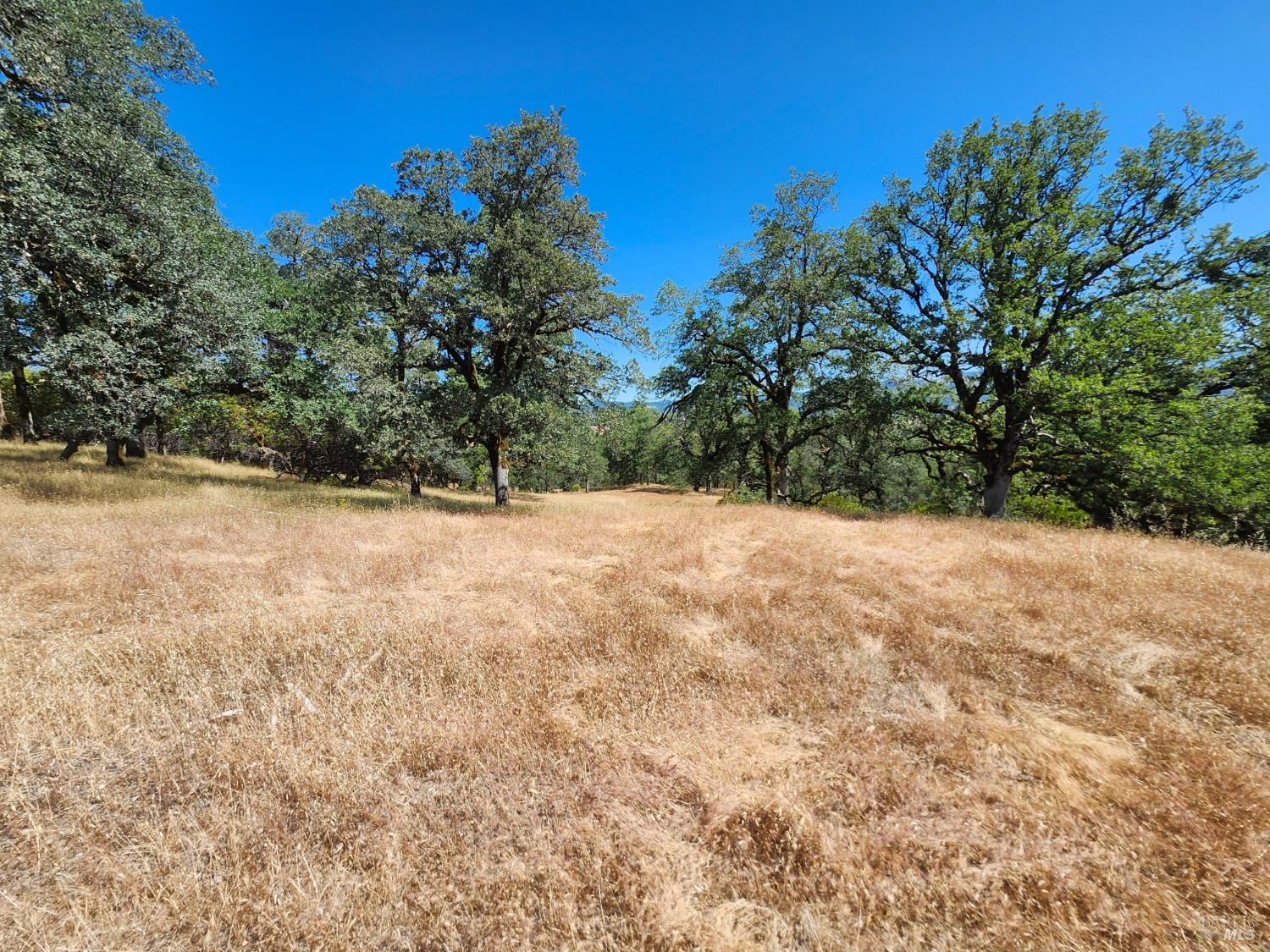 22551 Rifle Range Road Covelo CA 95428