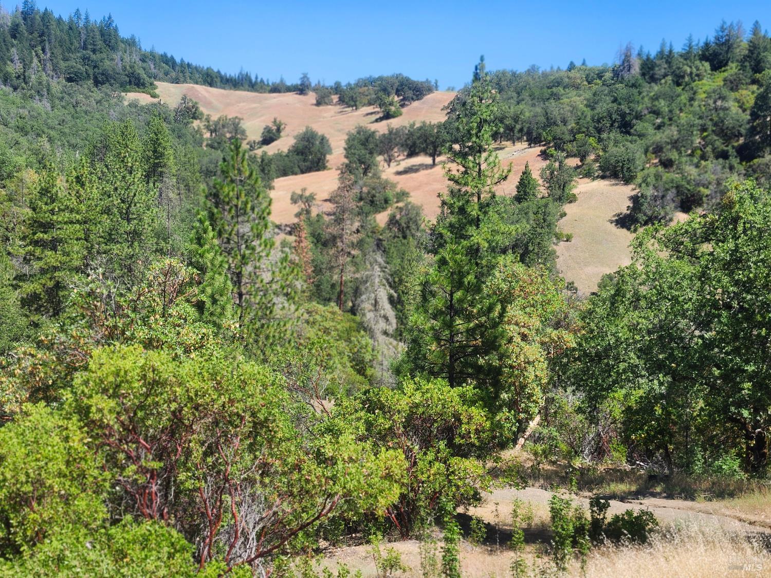 22551 Rifle Range Road Covelo CA 95428