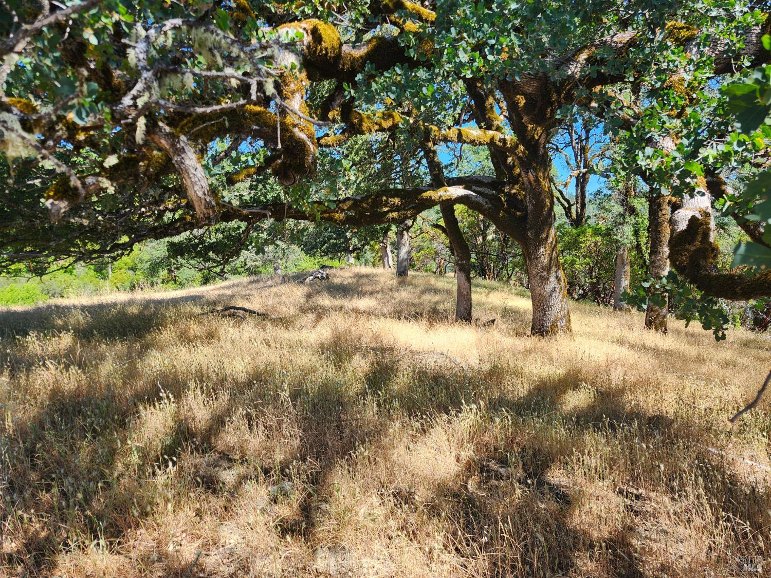 22551 Rifle Range Road Covelo CA 95428