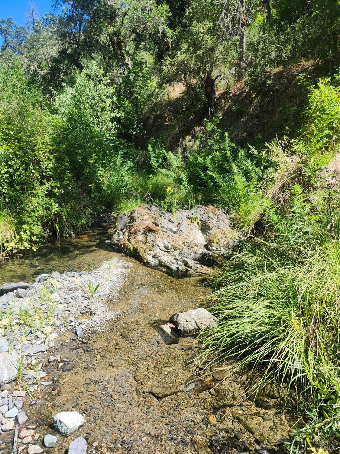 22551 Rifle Range Road Covelo CA 95428