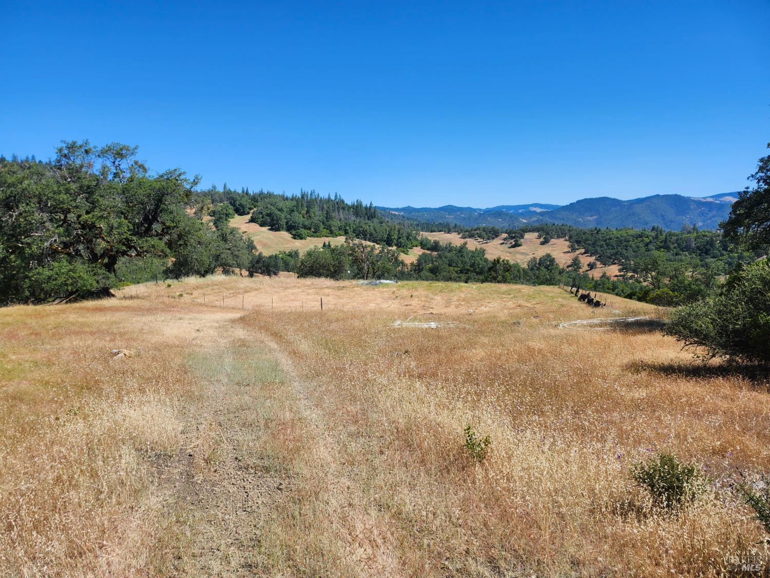 22551 Rifle Range Road Covelo CA 95428
