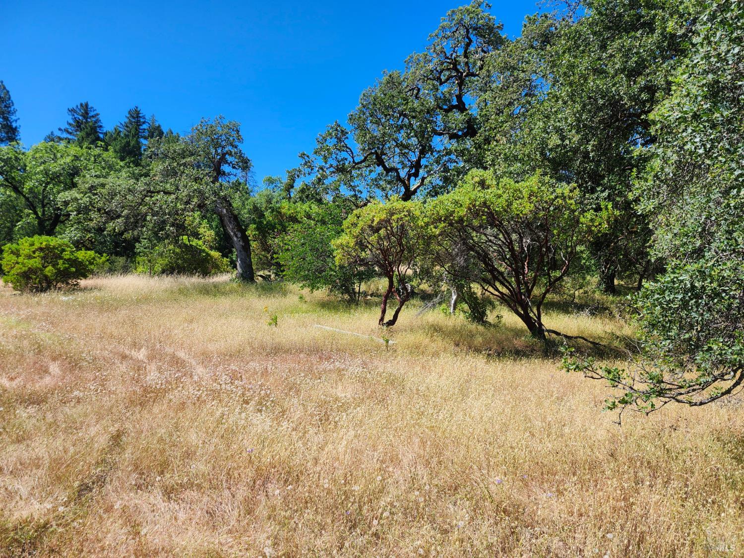 22551 Rifle Range Road Covelo CA 95428