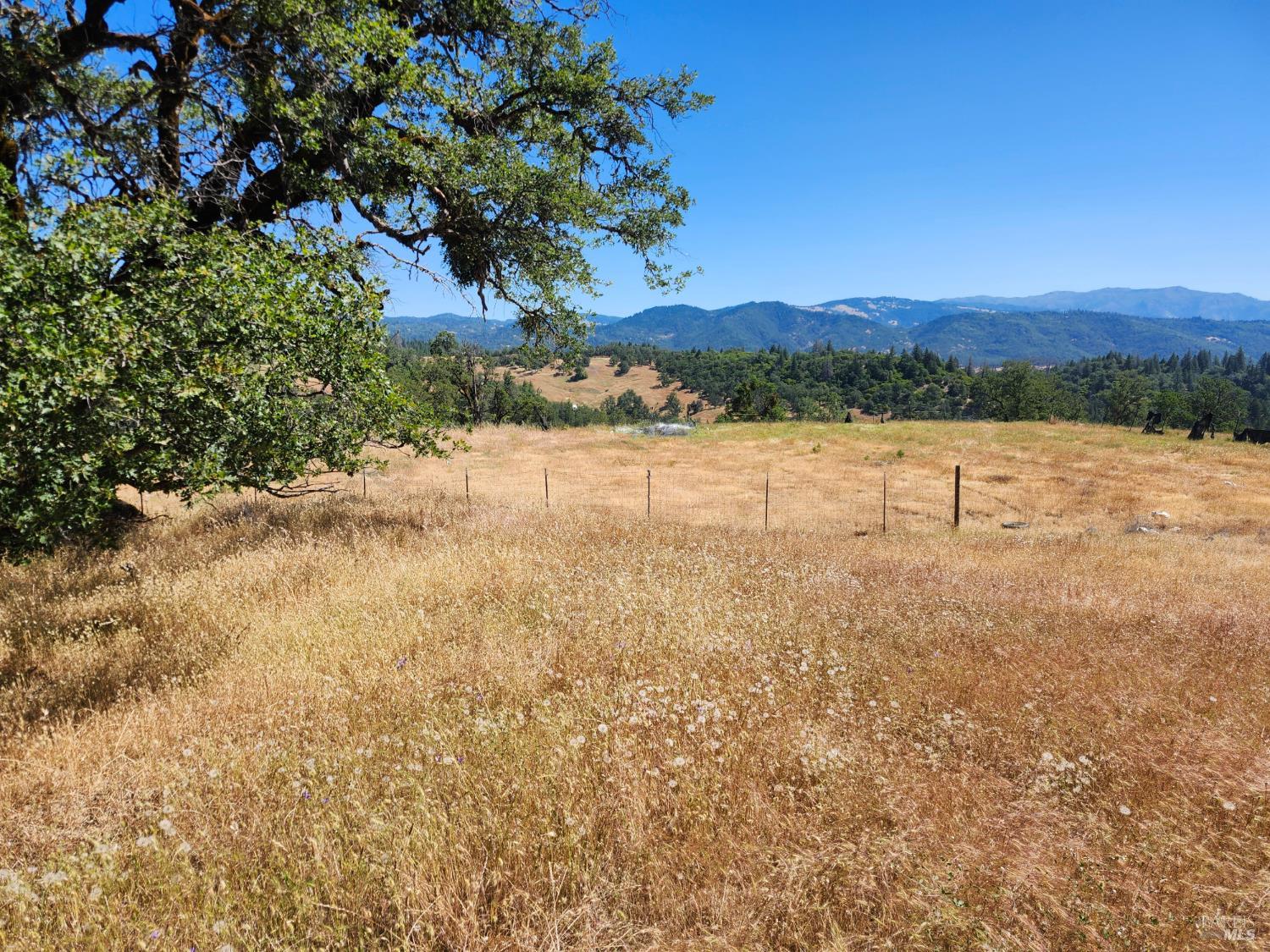 22551 Rifle Range Road Covelo CA 95428