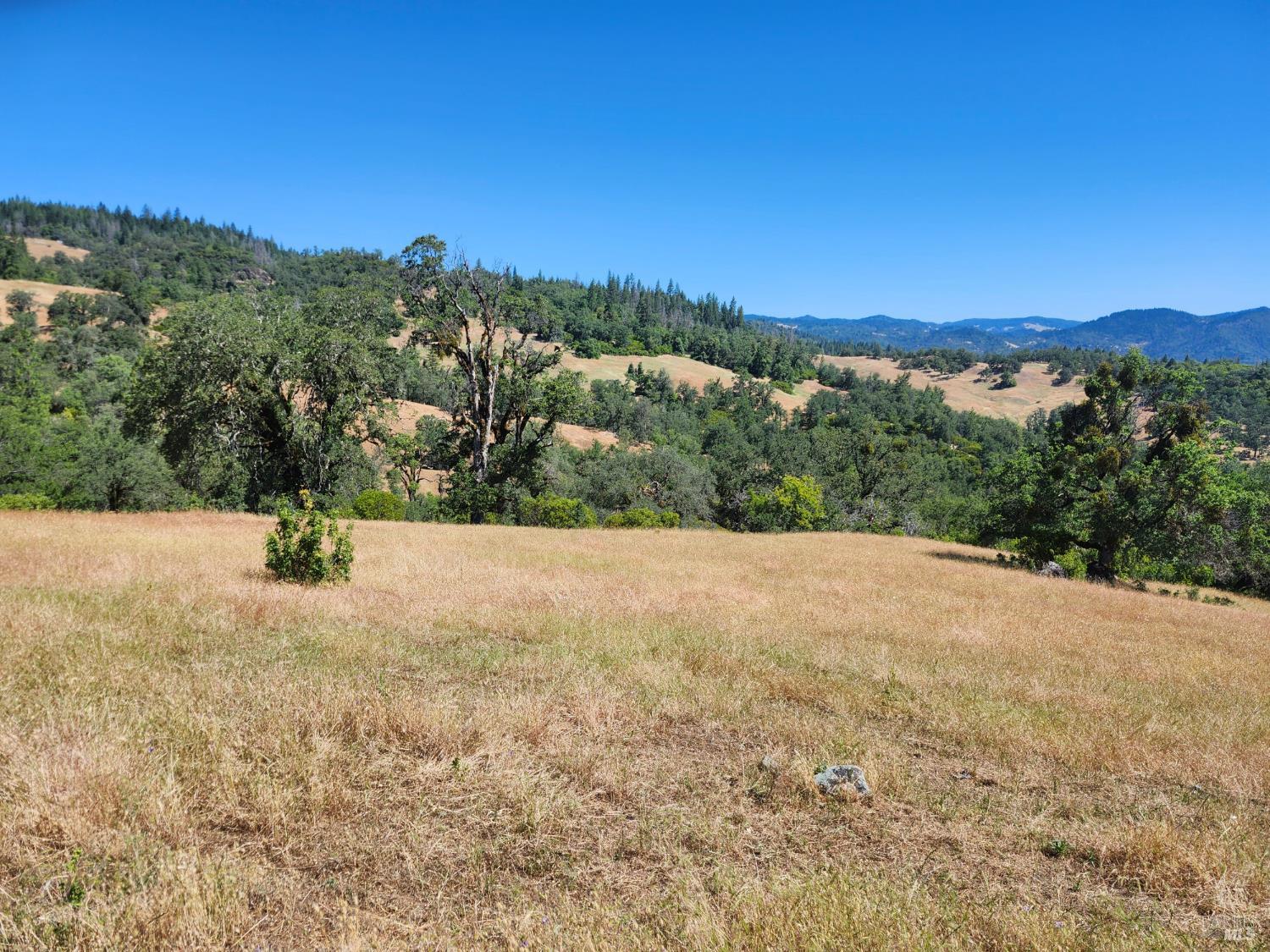 22551 Rifle Range Road Covelo CA 95428
