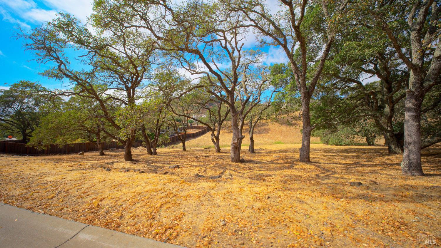 743 Bridle Ridge Court Fairfield CA 94534