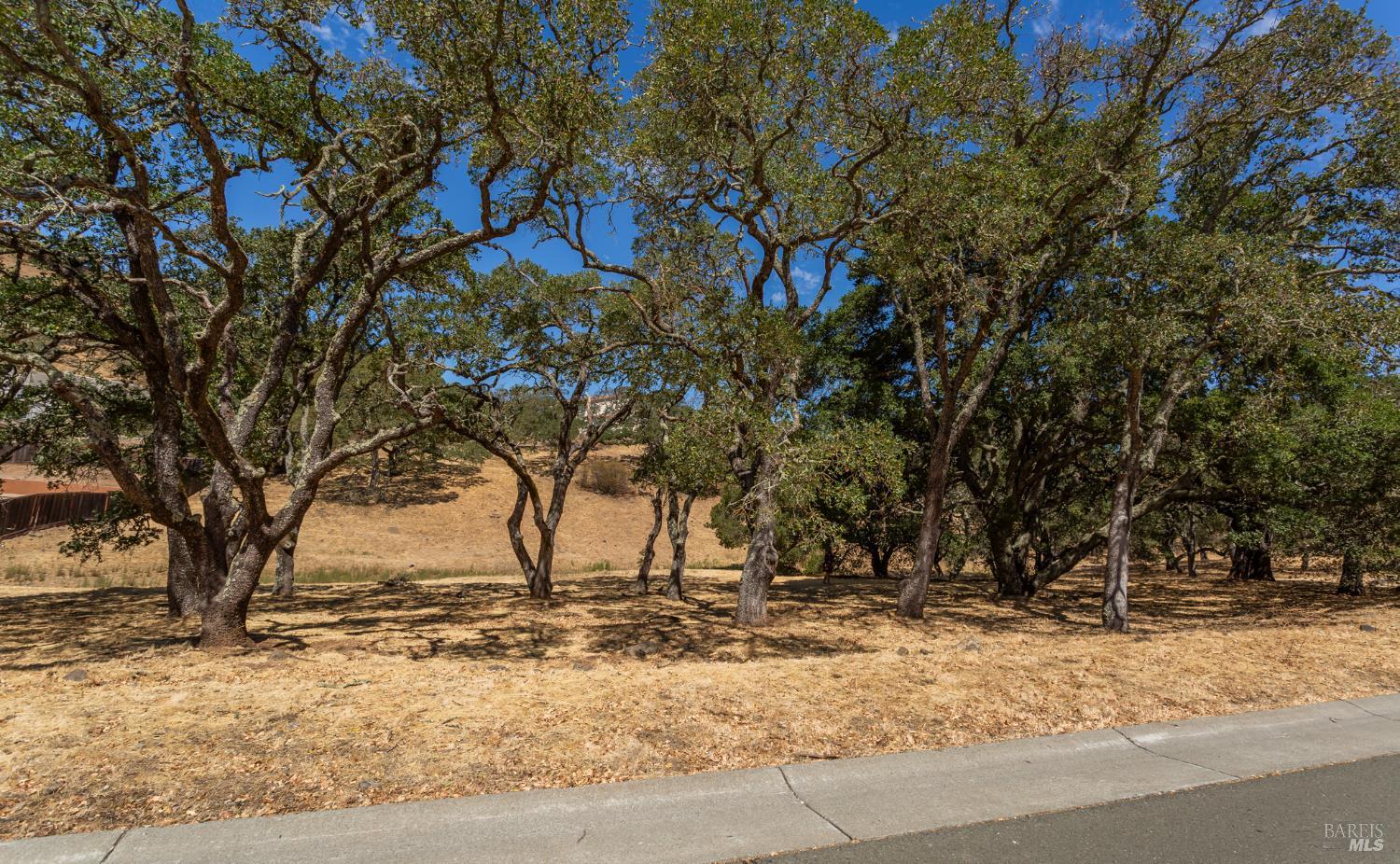 743 Bridle Ridge Court Fairfield CA 94534