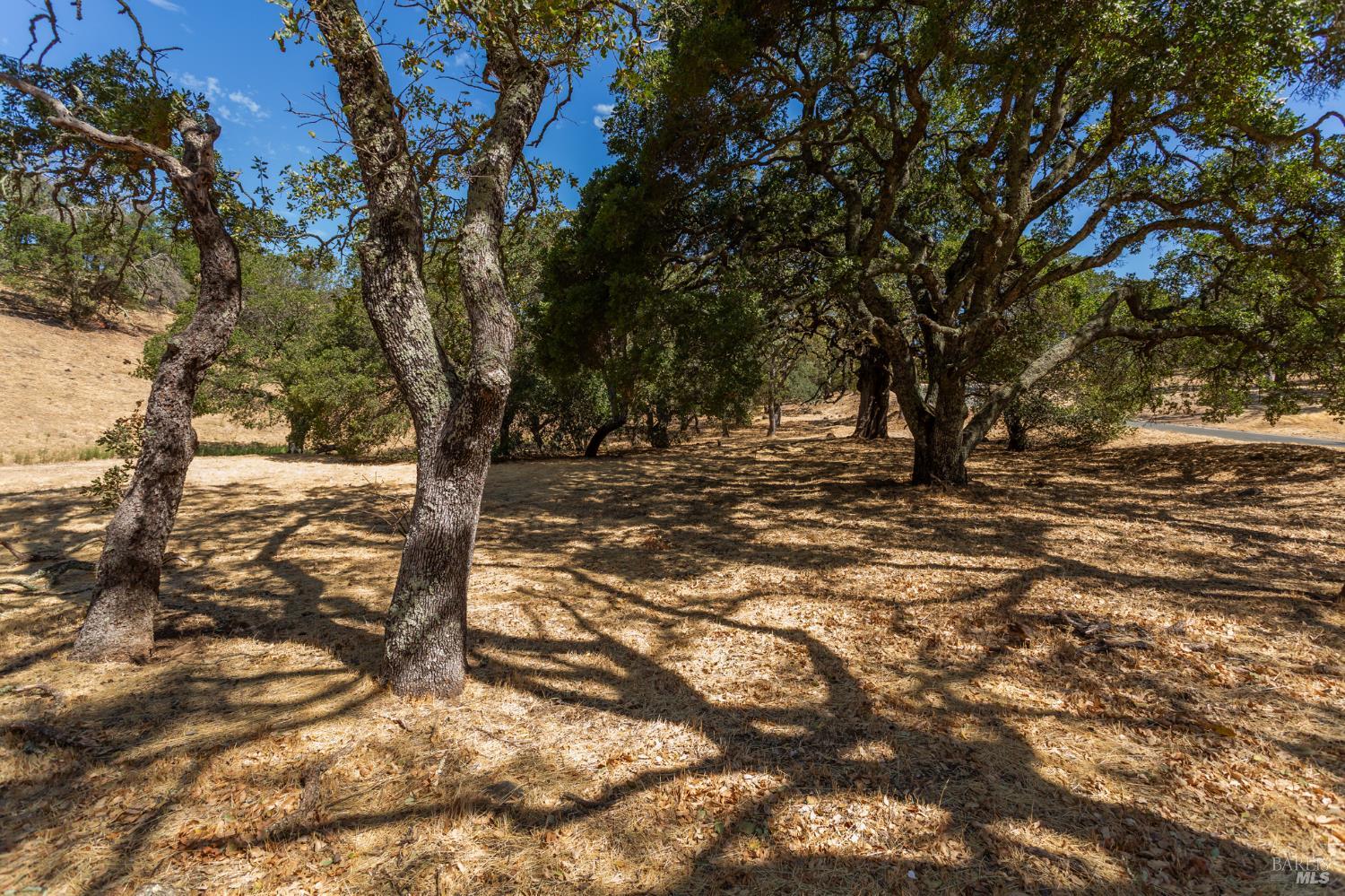 743 Bridle Ridge Court Fairfield CA 94534