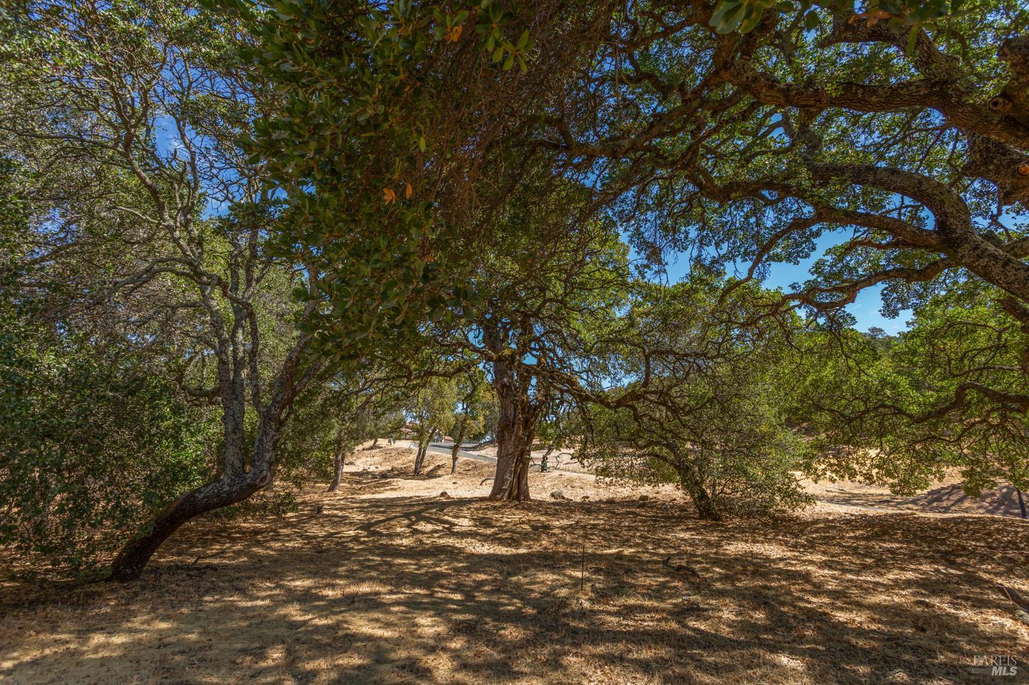 743 Bridle Ridge Court Fairfield CA 94534