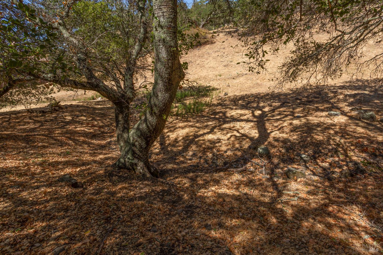 743 Bridle Ridge Court Fairfield CA 94534
