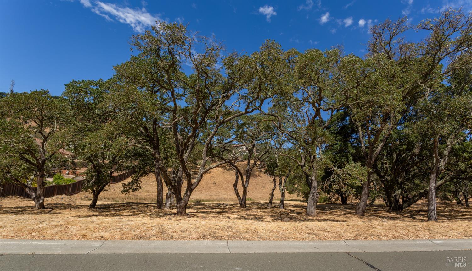 743 Bridle Ridge Court Fairfield CA 94534