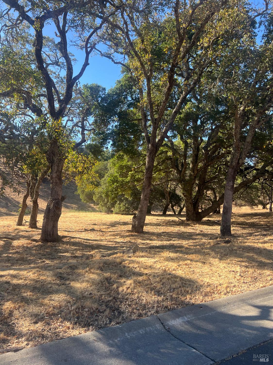 743 Bridle Ridge Court Fairfield CA 94534