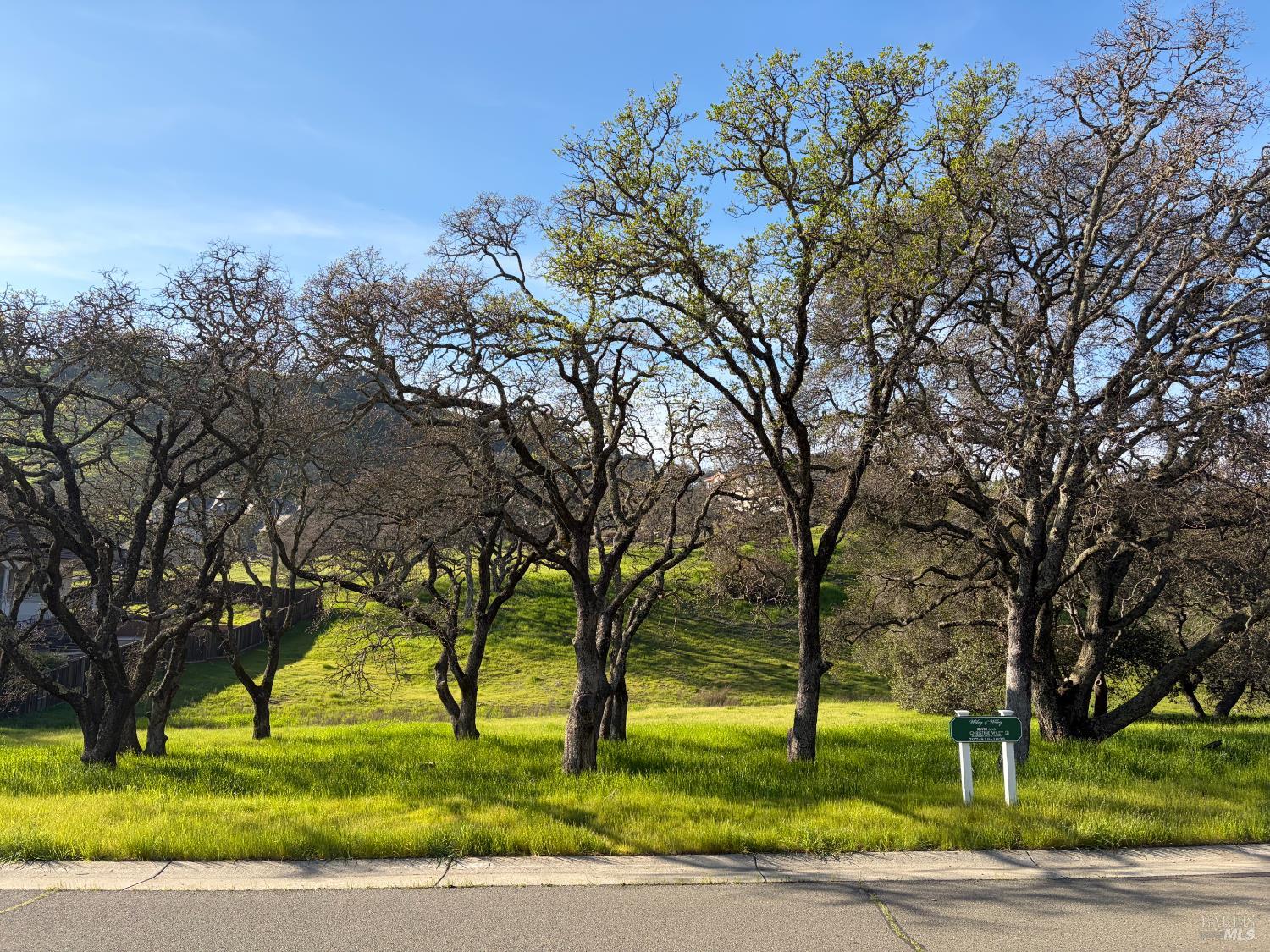 743 Bridle Ridge Court Fairfield CA 94534