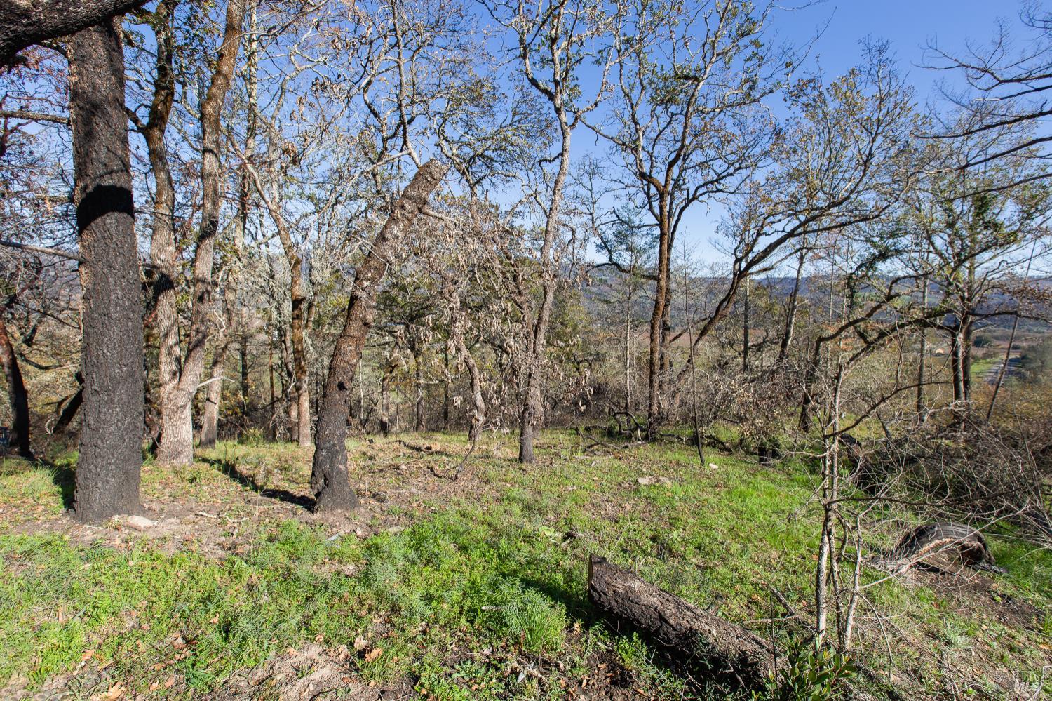 0 Tucker Road Calistoga CA 94515