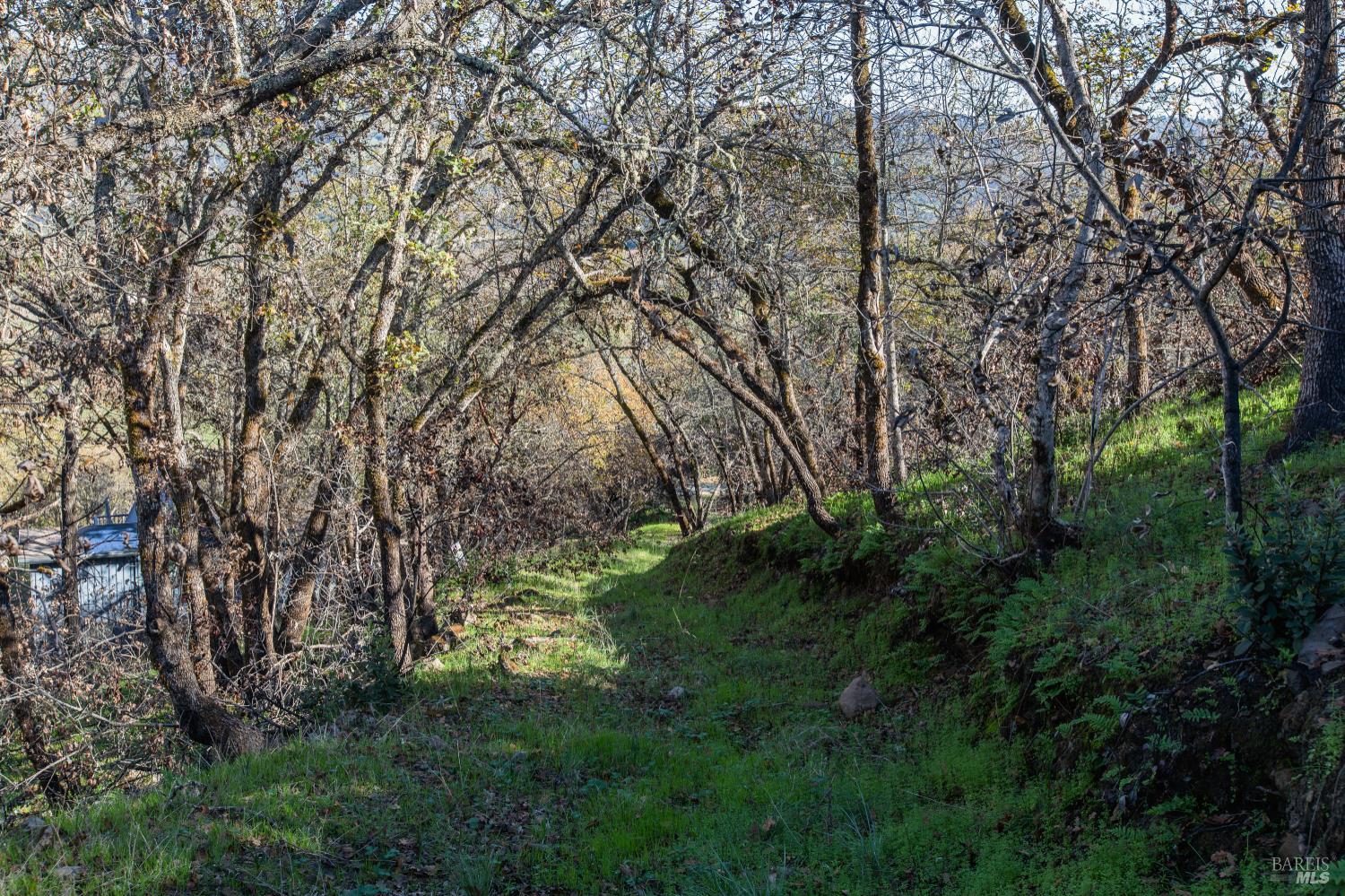 0 Tucker Road Calistoga CA 94515