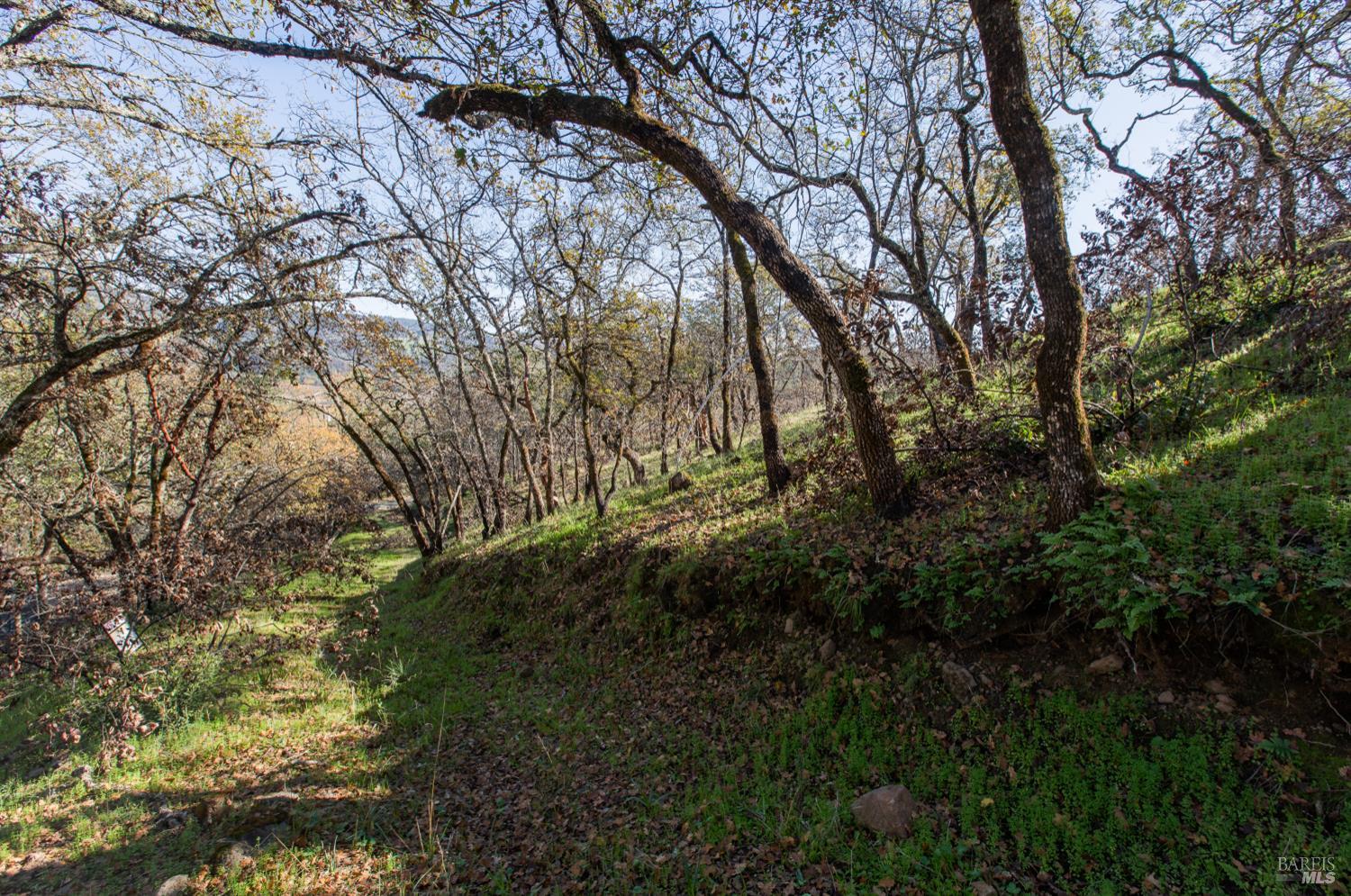 0 Tucker Road Calistoga CA 94515