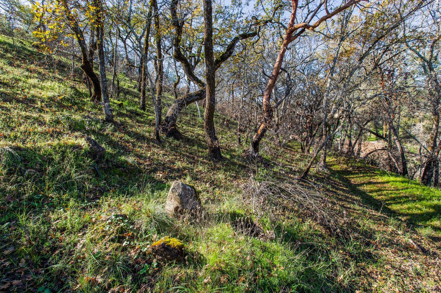 0 Tucker Road Calistoga CA 94515