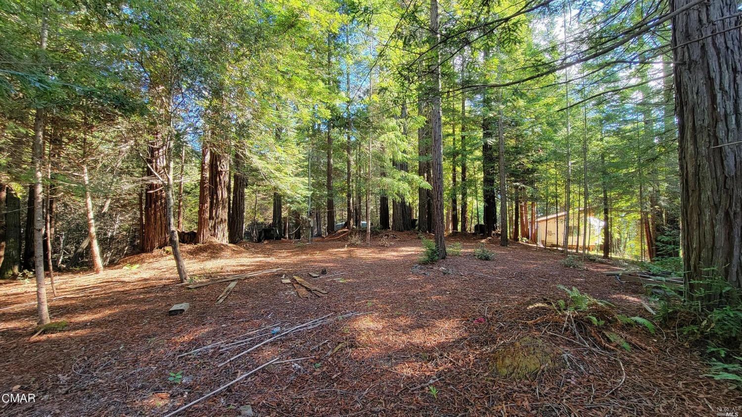 12301 Docker Hill Road Comptche CA 95427