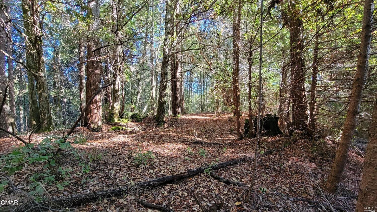 12301 Docker Hill Road Comptche CA 95427