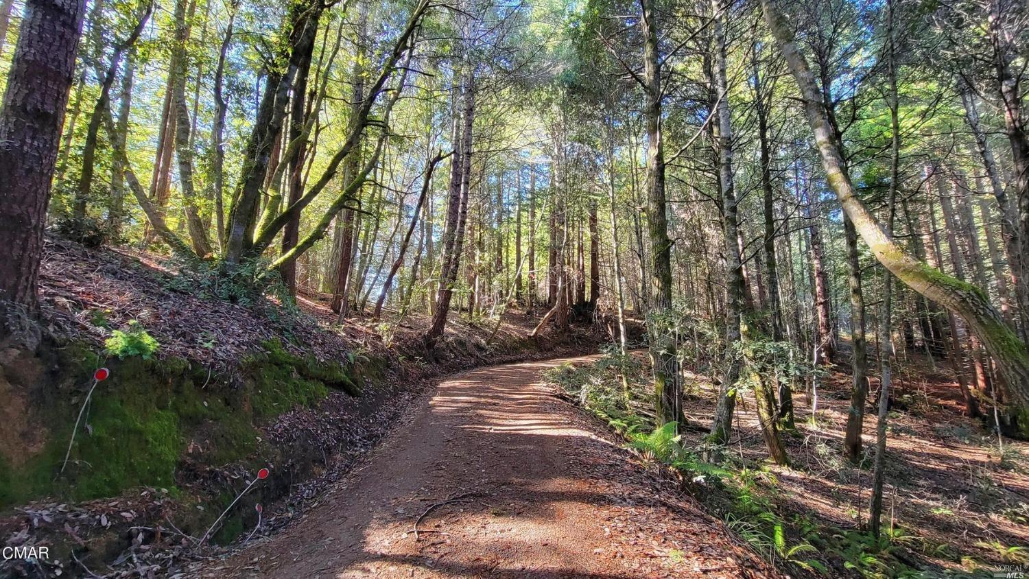 12301 Docker Hill Road Comptche CA 95427