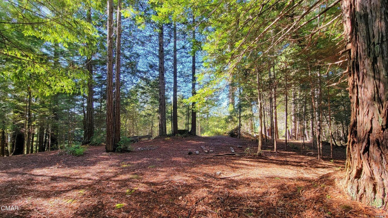 12301 Docker Hill Road Comptche CA 95427