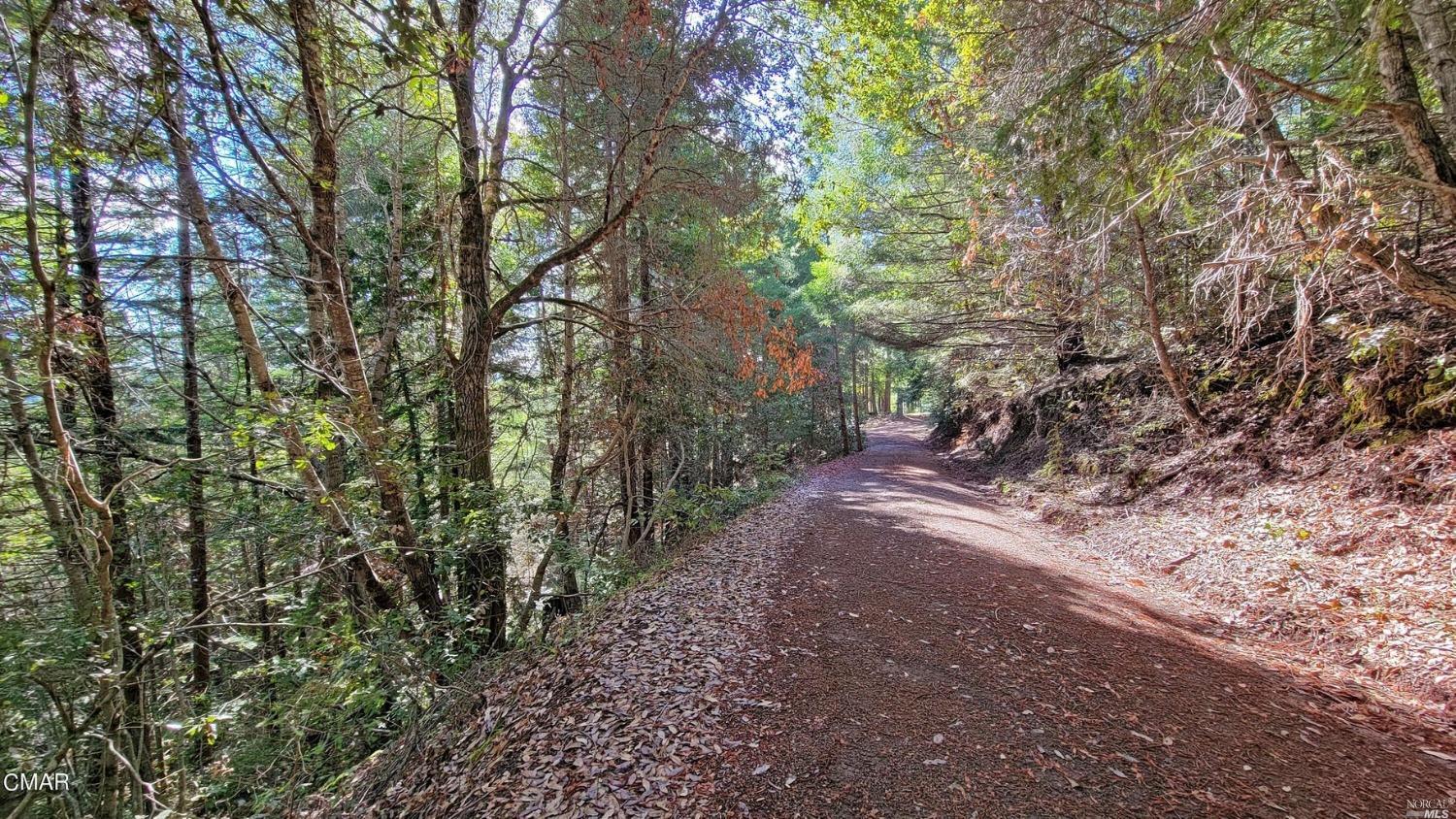 12301 Docker Hill Road Comptche CA 95427