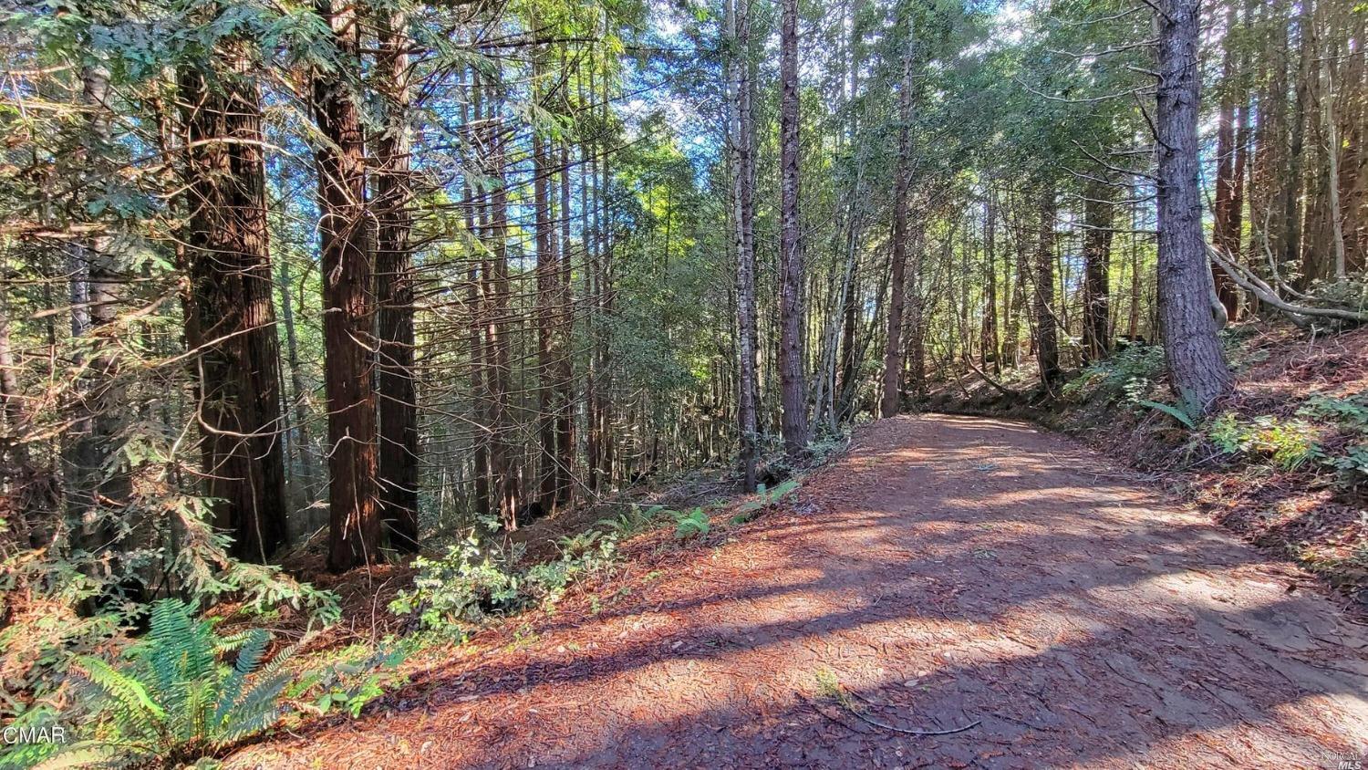 12301 Docker Hill Road Comptche CA 95427