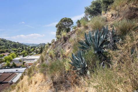 51 El Camino Avenue San Rafael CA 94901