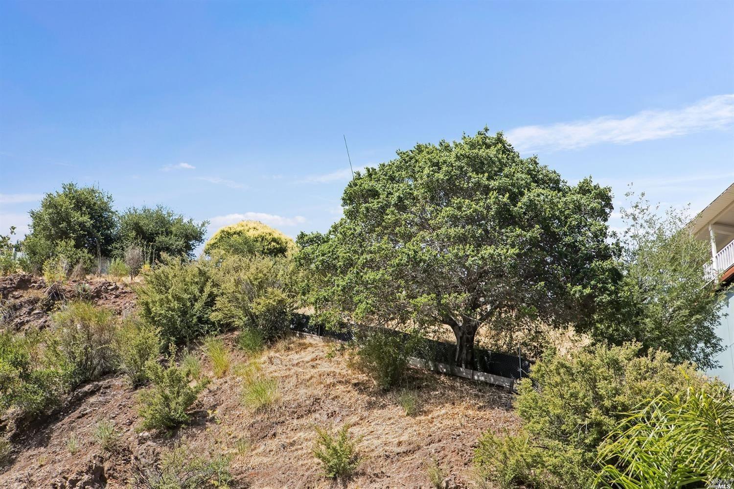 51 El Camino Avenue San Rafael CA 94901