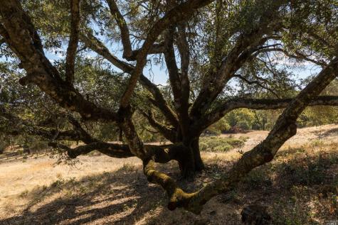 5500 Grove Street Sonoma CA 95476