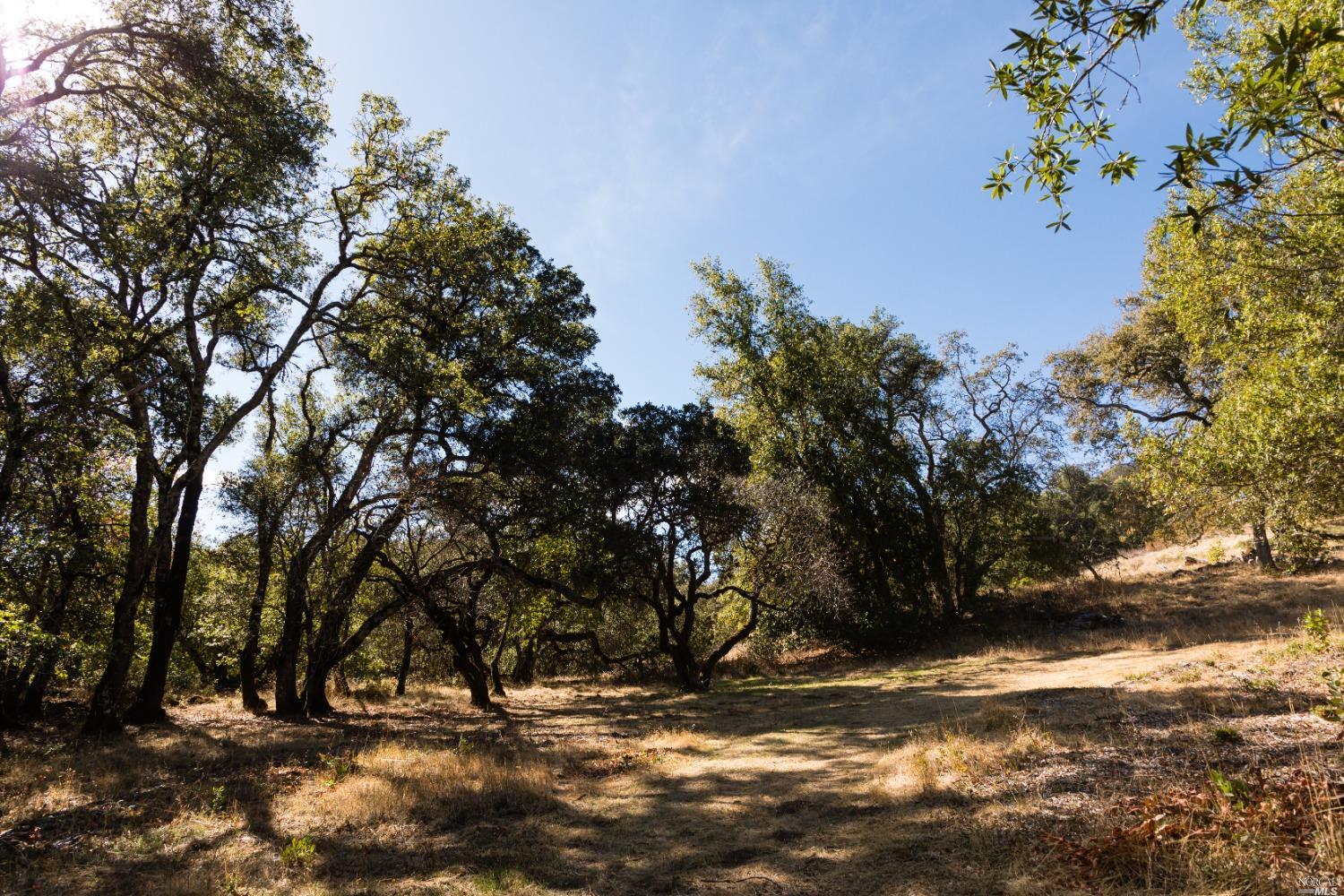 5500 Grove Street Sonoma CA 95476