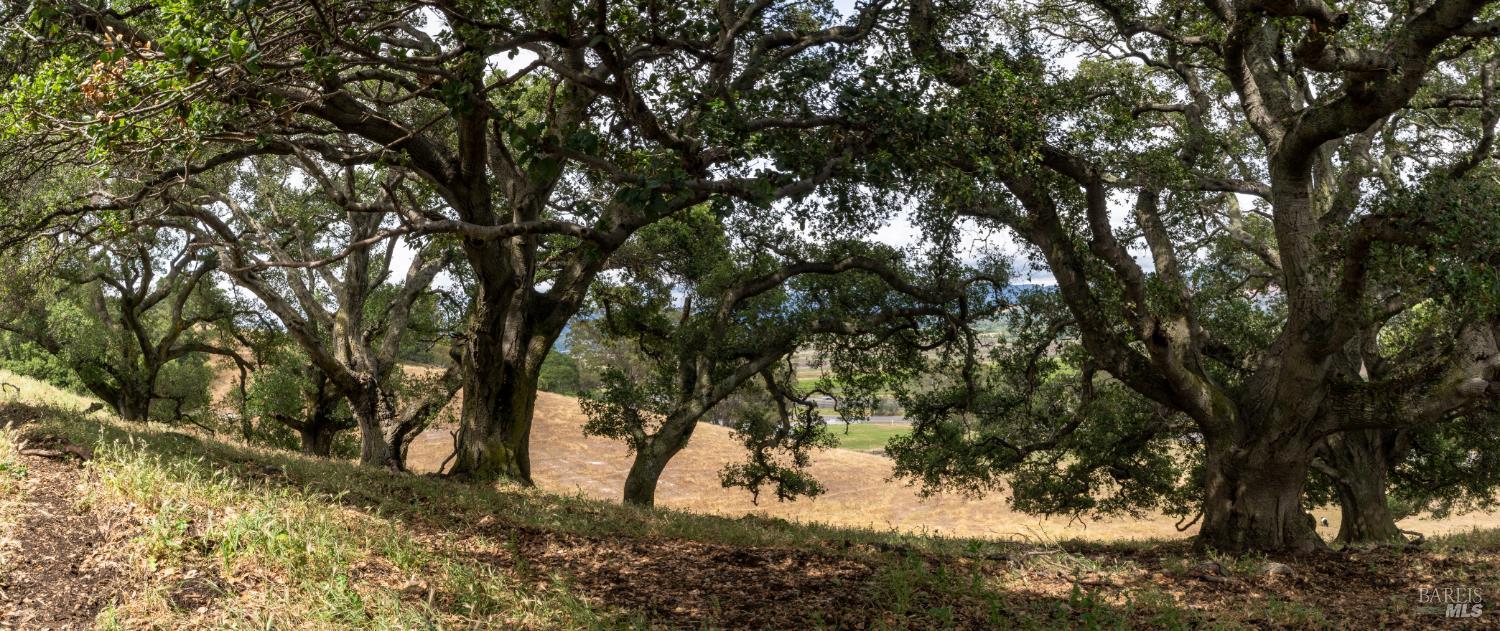 0 Foster Road Napa CA 94558