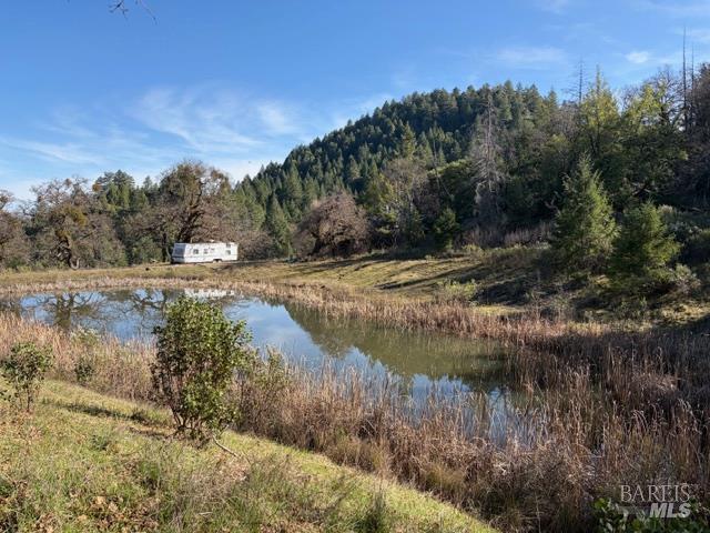 58921 George Washington Rock Road Leggett CA 95585