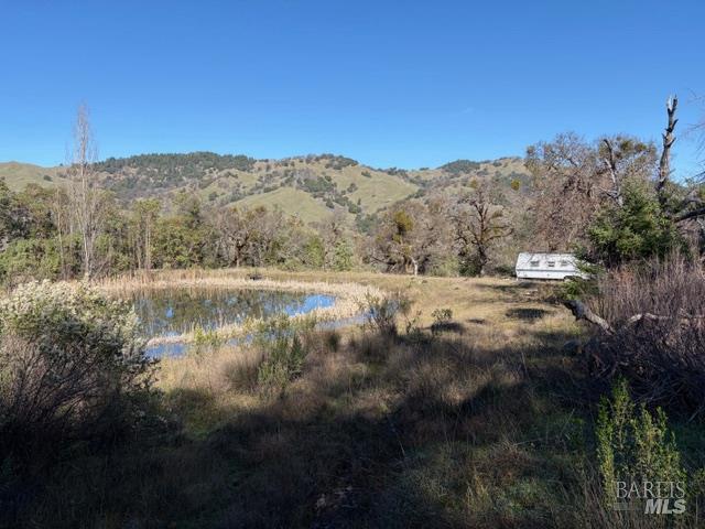 58921 George Washington Rock Road Leggett CA 95585