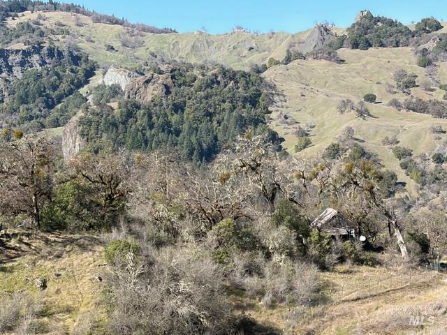 58921 George Washington Rock Road Leggett CA 95585