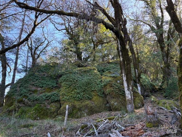 58921 George Washington Rock Road Leggett CA 95585