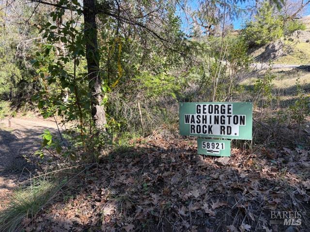 58921 George Washington Rock Road Leggett CA 95585