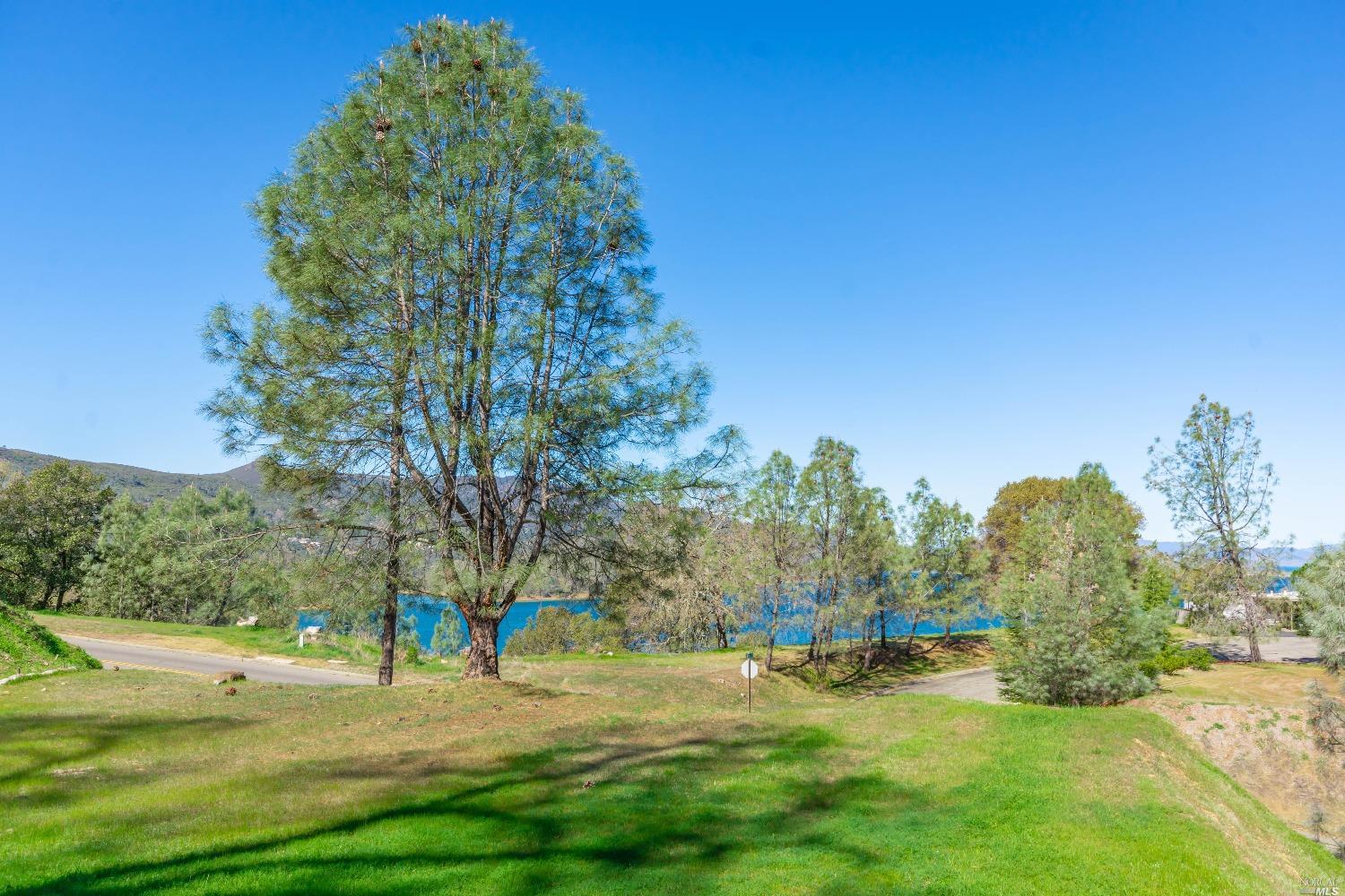 1276 Steele Canyon Road Napa CA 94558