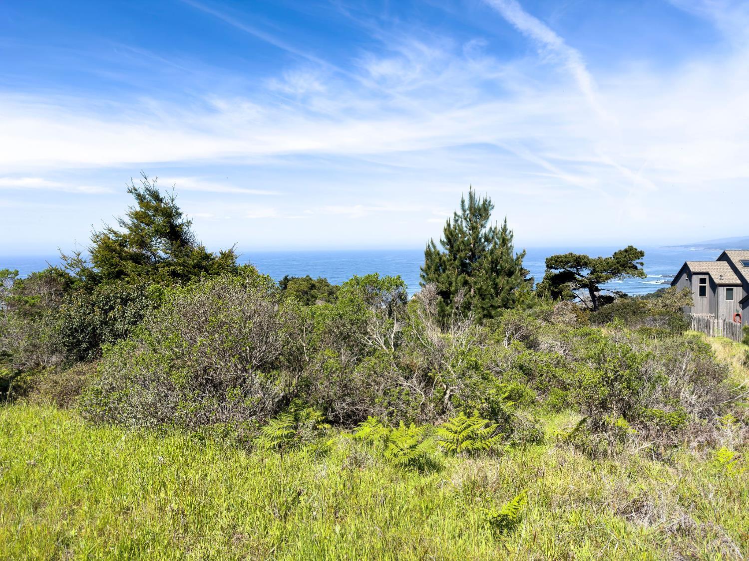 35052 Crows Nest Drive The Sea Ranch CA 95497
