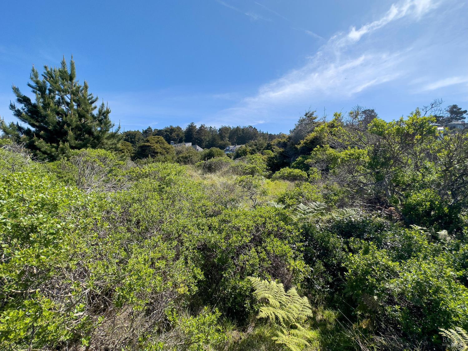 35052 Crows Nest Drive The Sea Ranch CA 95497