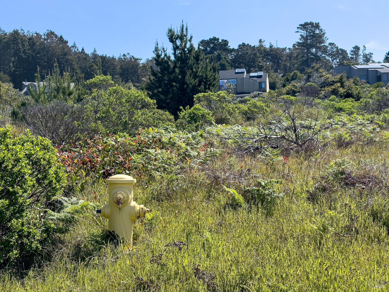 35052 Crows Nest Drive The Sea Ranch CA 95497