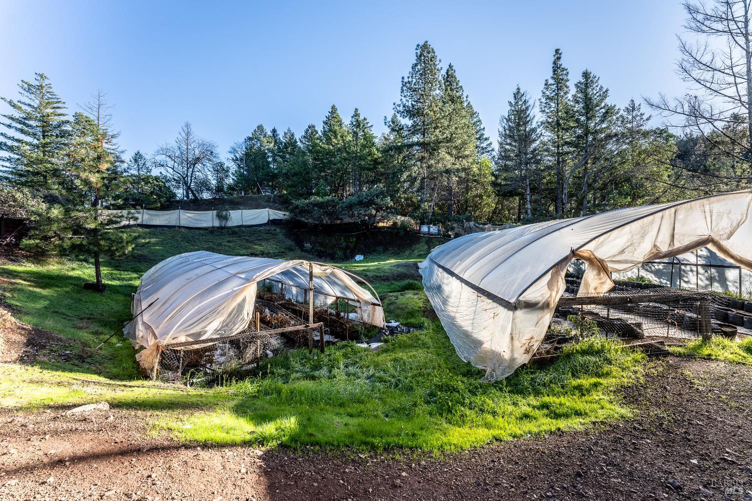 7400 Appaloosa Way Redwood Valley CA 95470