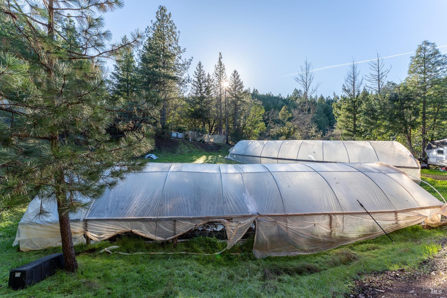 7400 Appaloosa Way Redwood Valley CA 95470