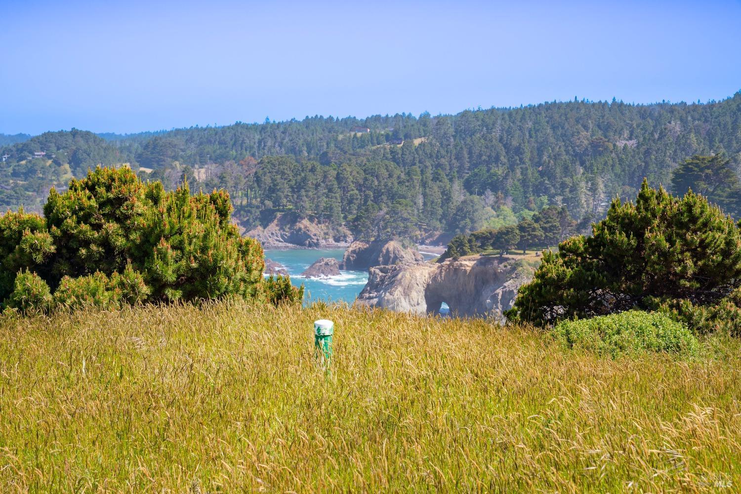 50500 W Buckhorn Cove Road Little River CA 95456